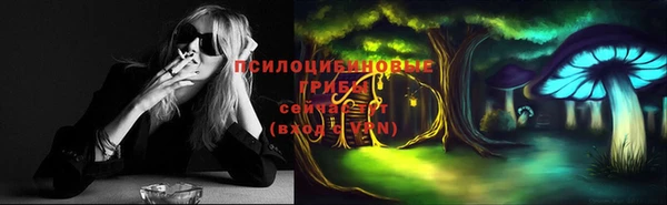 ПСИЛОЦИБИНОВЫЕ ГРИБЫ Балахна