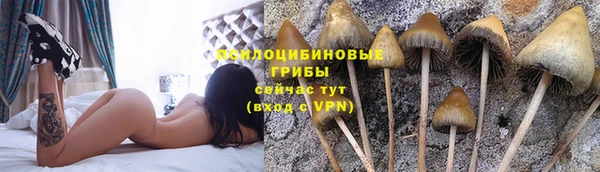 ПСИЛОЦИБИНОВЫЕ ГРИБЫ Балахна