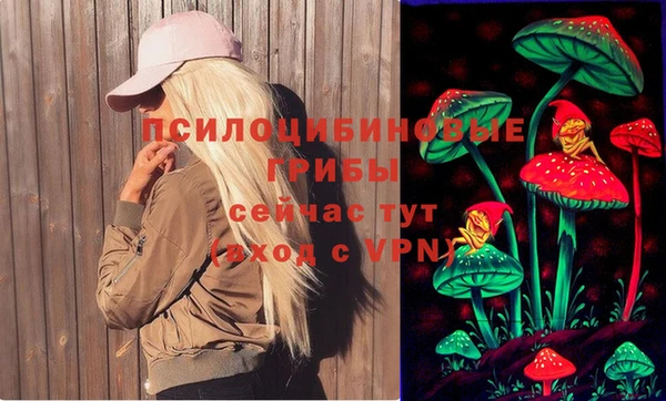 ПСИЛОЦИБИНОВЫЕ ГРИБЫ Балахна