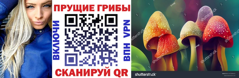 купить  сайты  Малмыж  Галлюциногенные грибы Psilocybine cubensis 